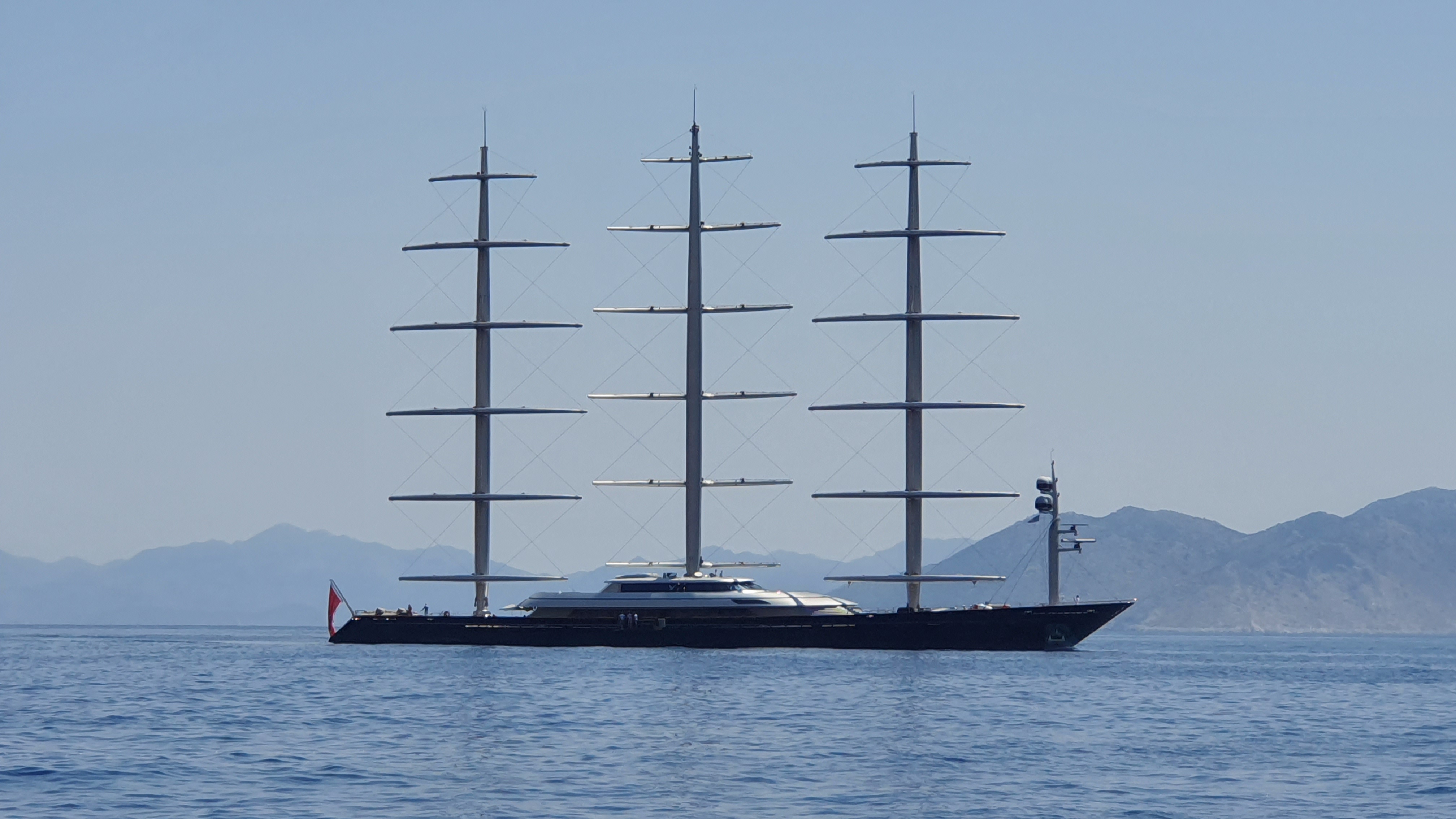 Maltese Falcon