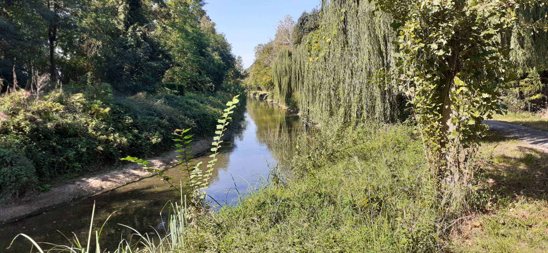 Naviglio Pallavicino