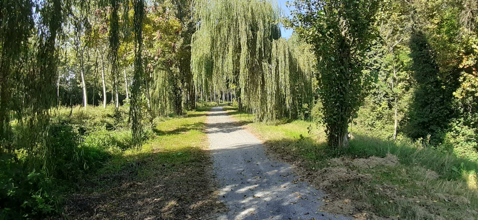 Naviglio Pallavicino