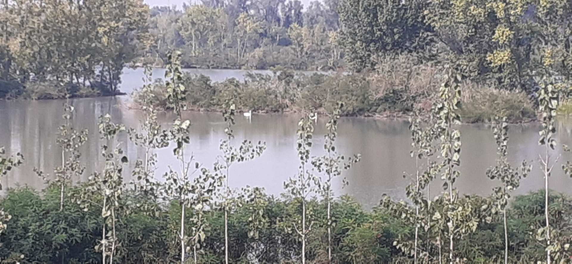 lago Vallazza, Mantova