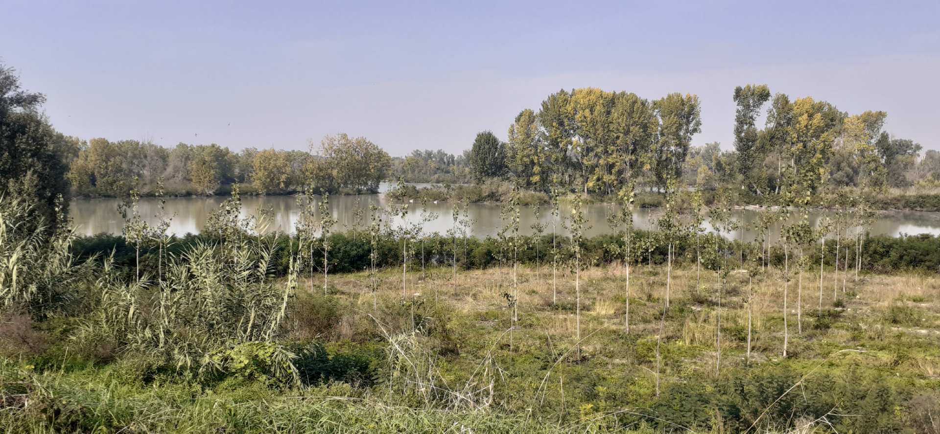 lago Vallazza, Mantova