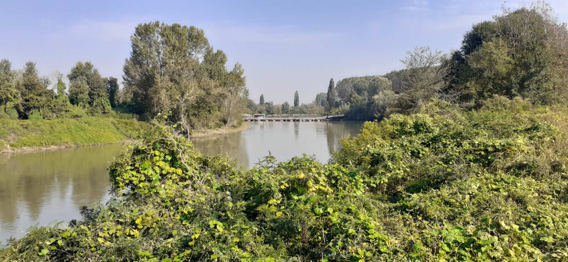 Ponte su barche di Torre d'Oglio