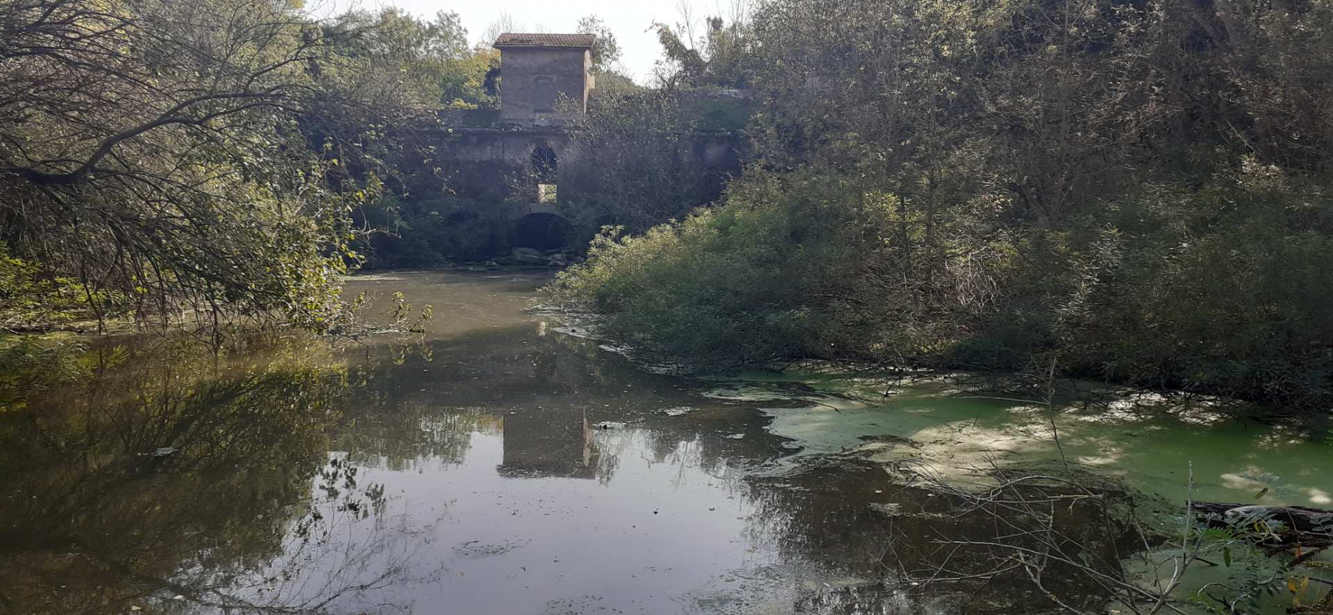 lago Vallazza, Mantova