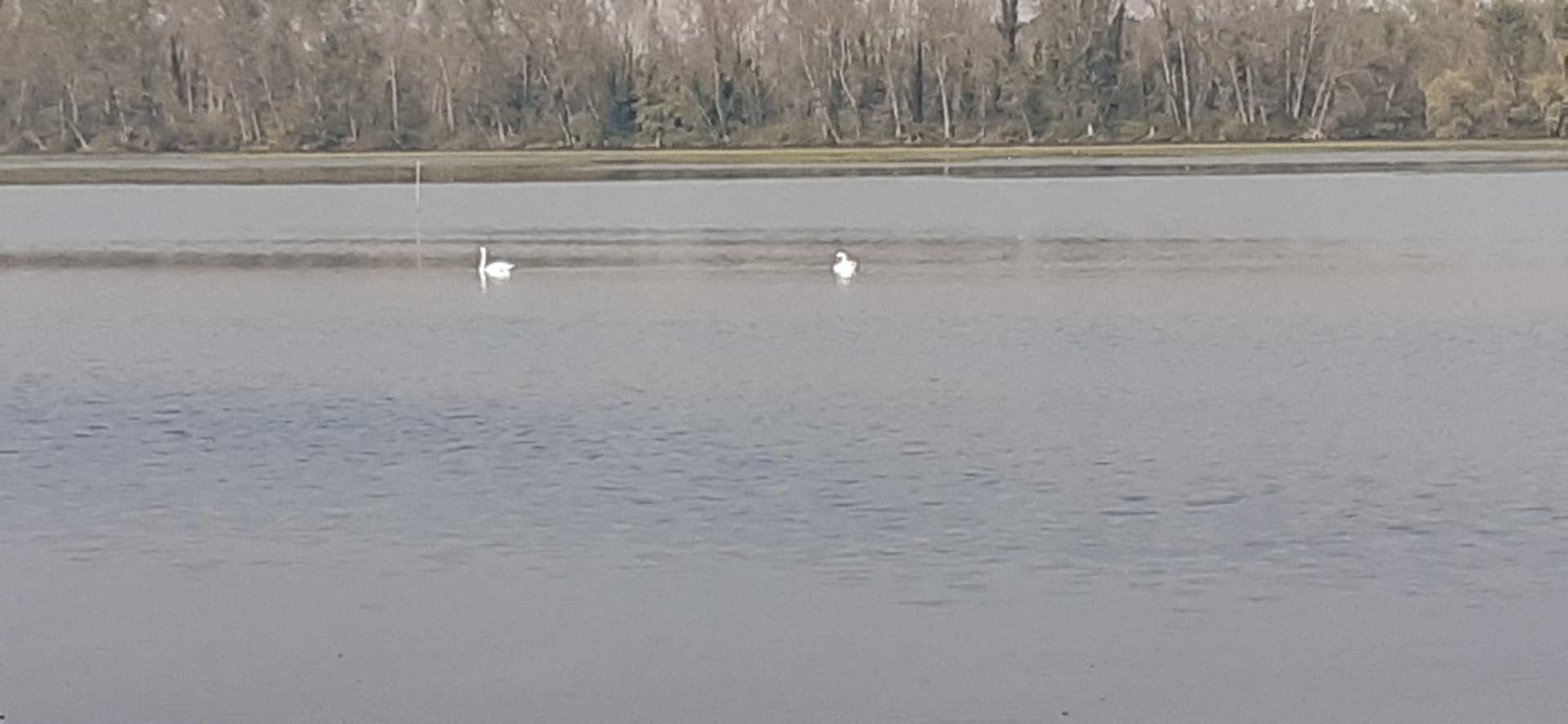 lago Vallazza, Mantova