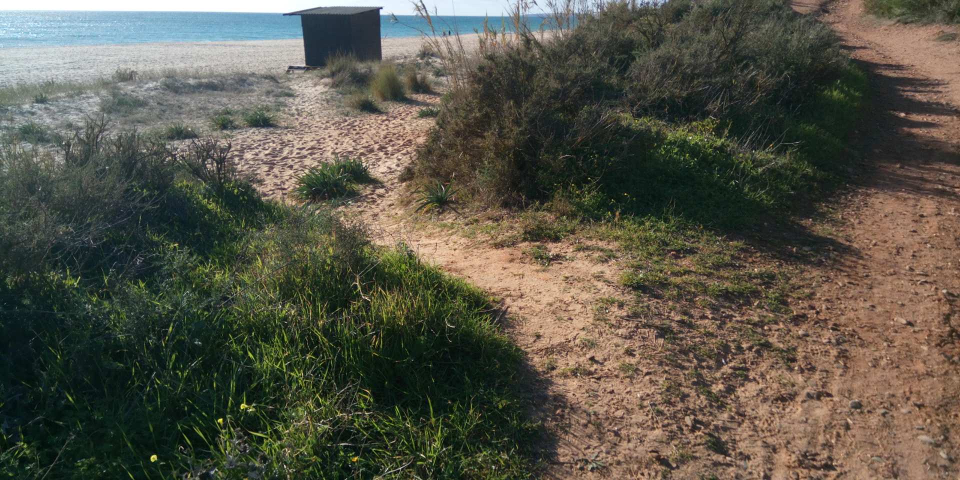 Praia da Rocha Baixinha Nascente