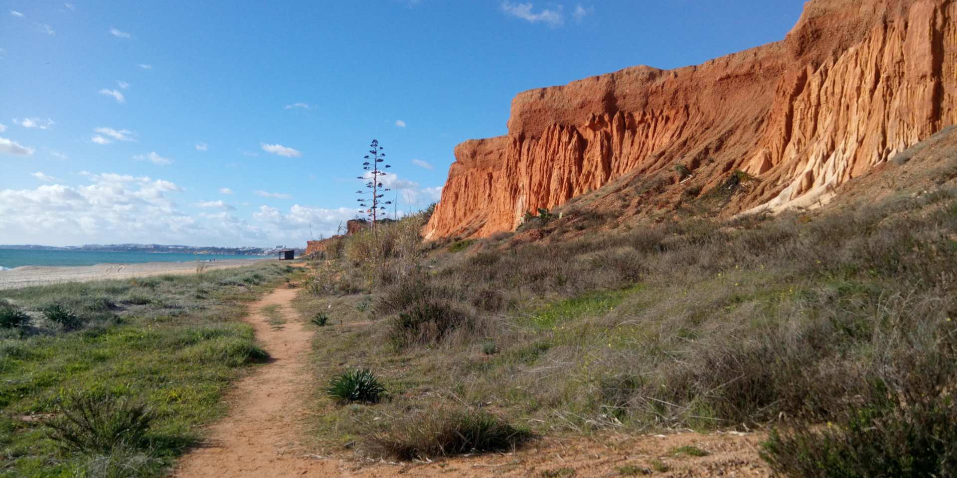 Praia da Rocha Baixinha Nascente