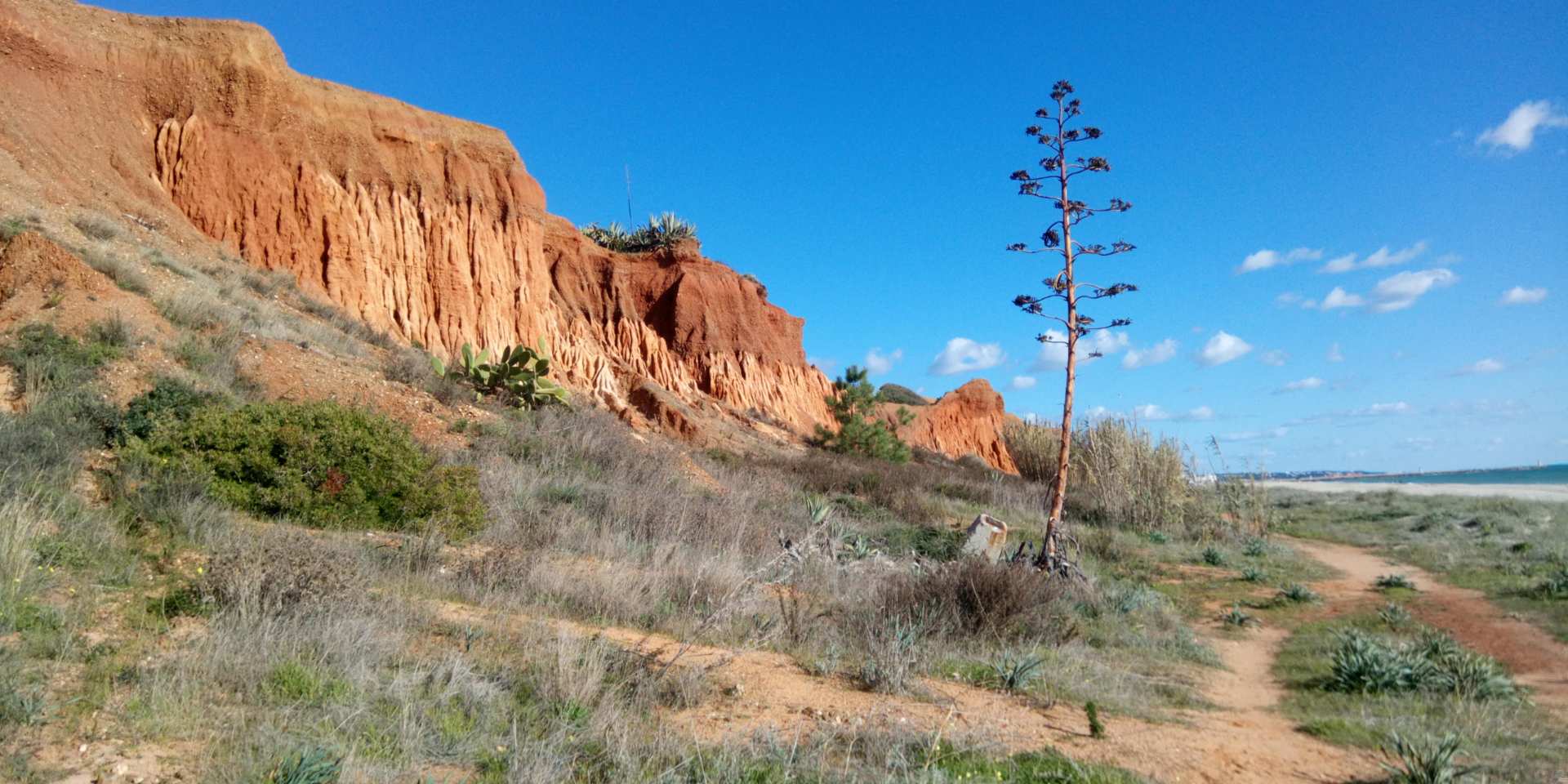 Praia da Rocha Baixinha Nascente