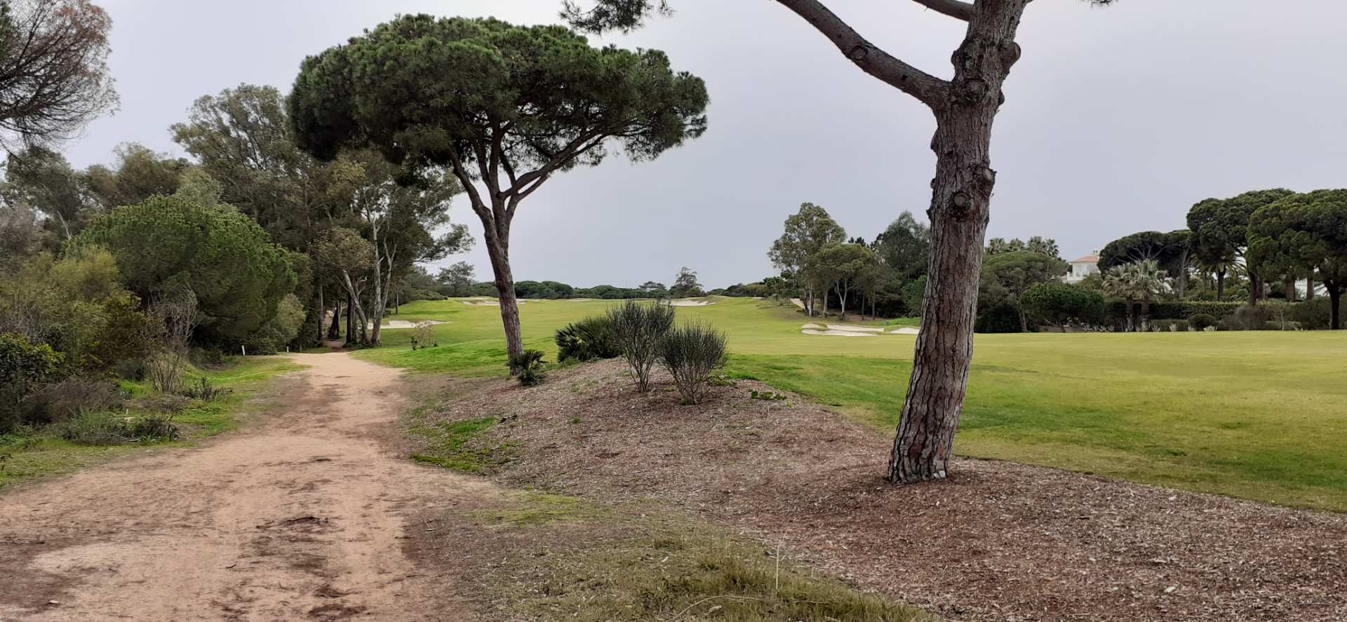 São Lourenço golf