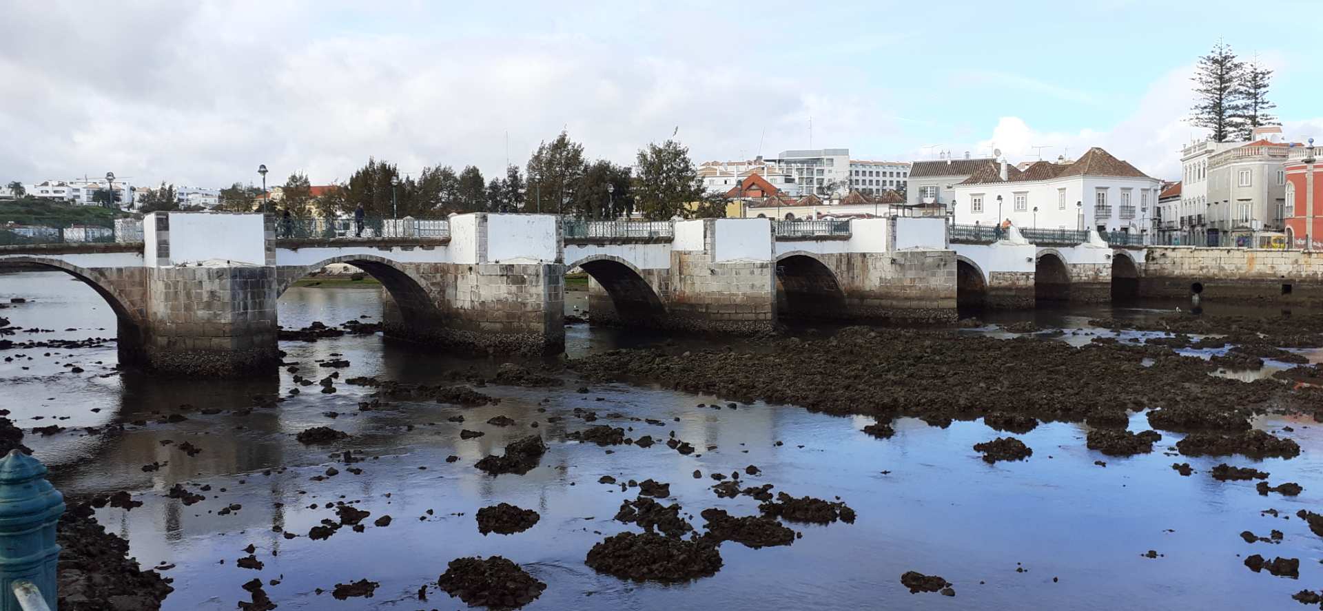 Tavira