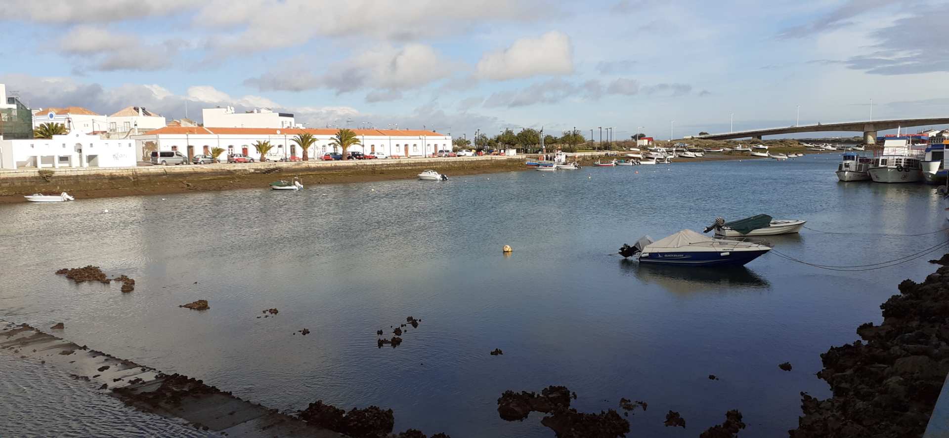 Tavira