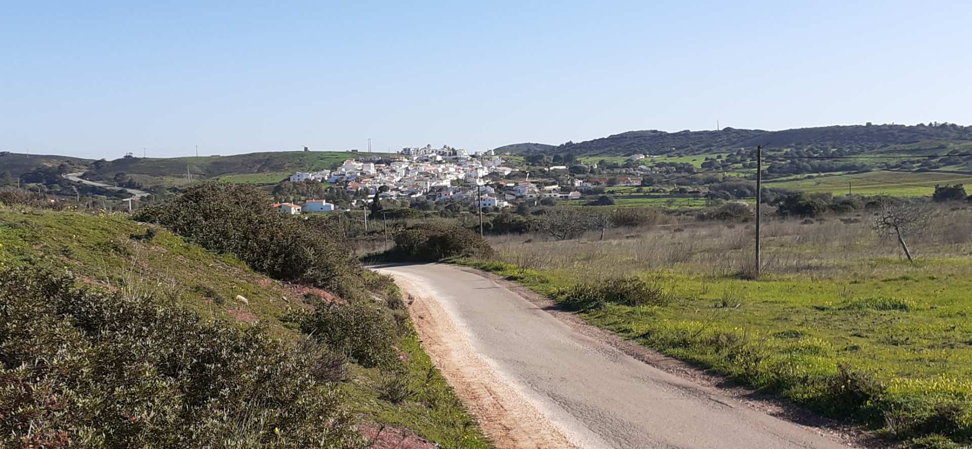 Figueira