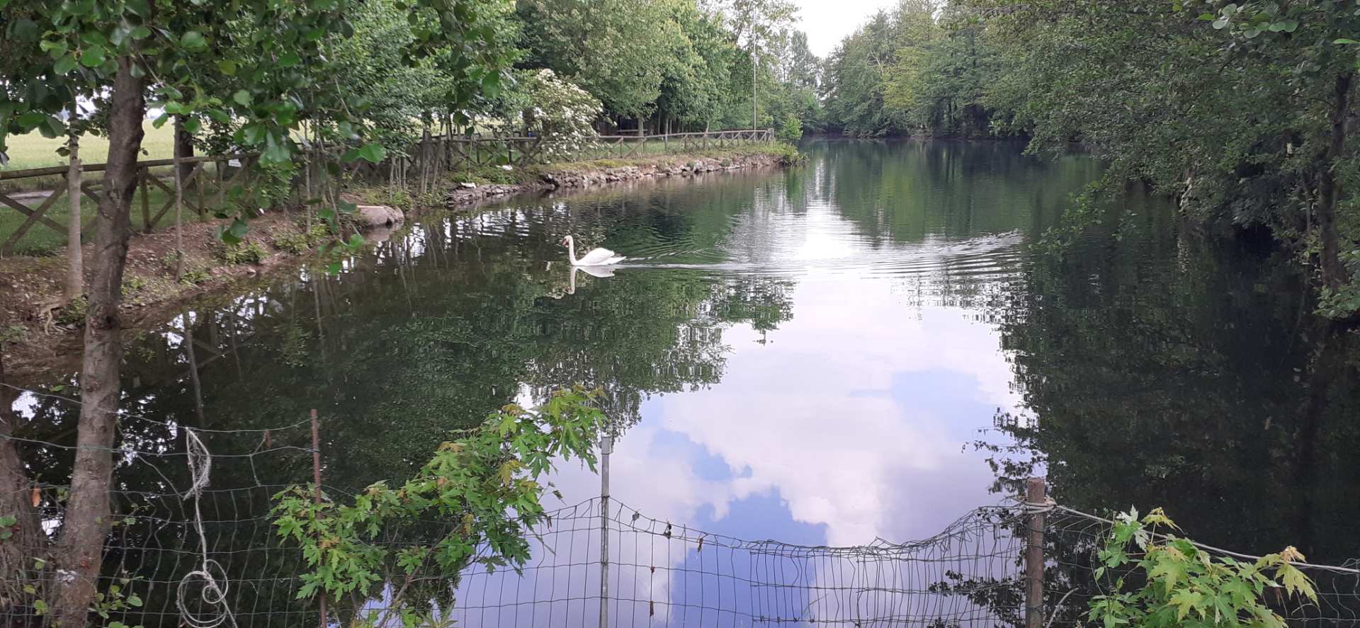 Bariano