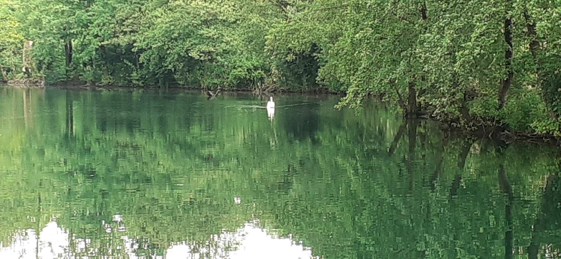 Bariano