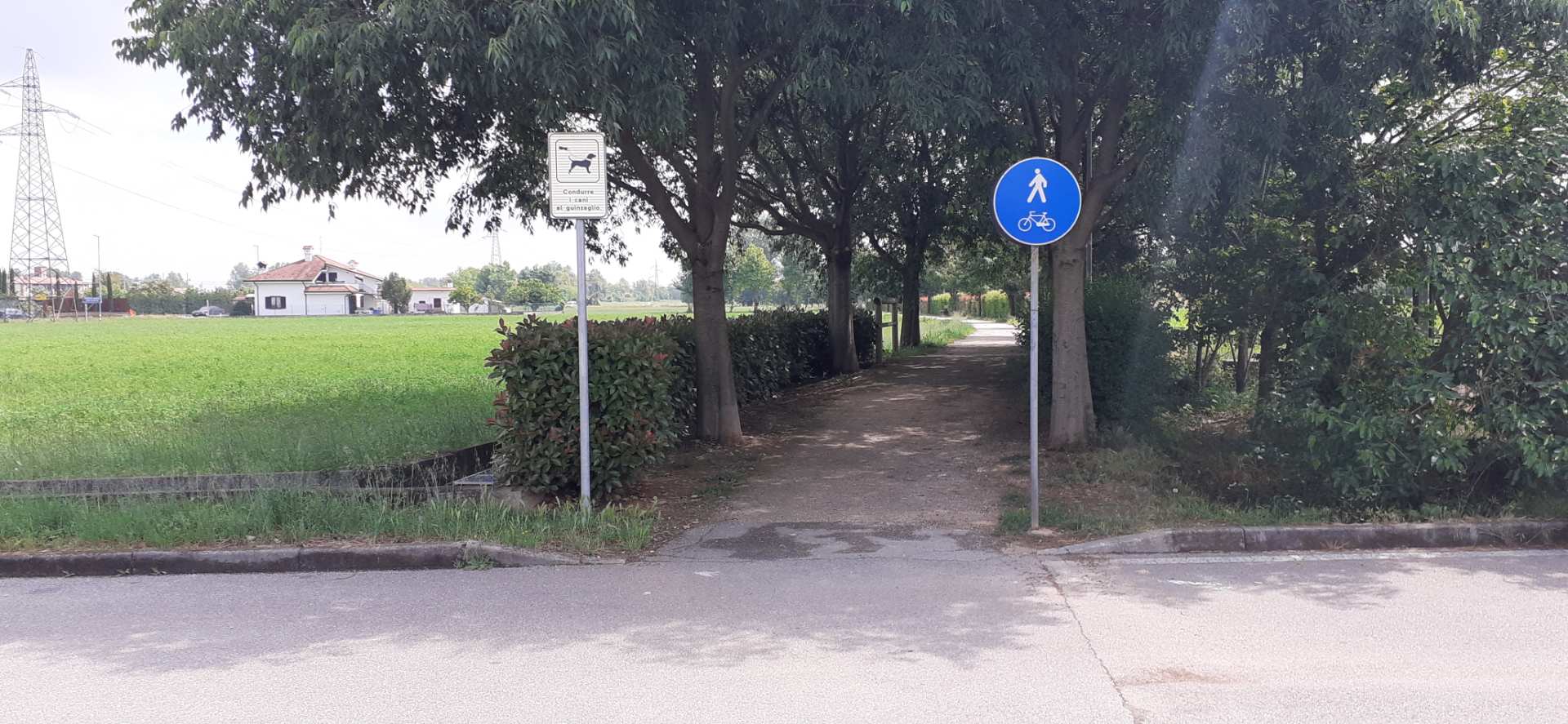 Bariano