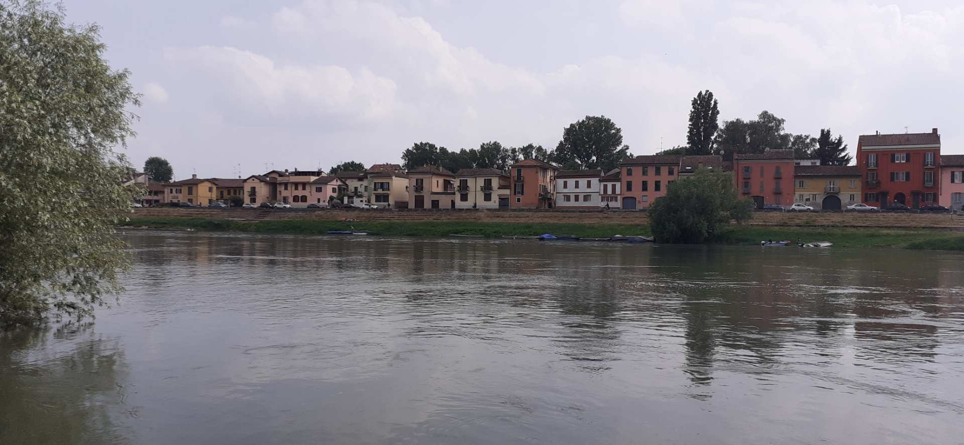 Pavia