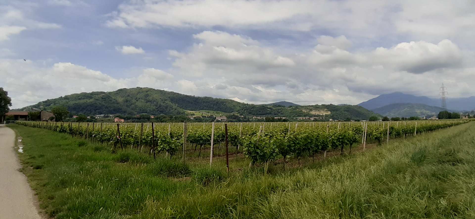 Franciacorta