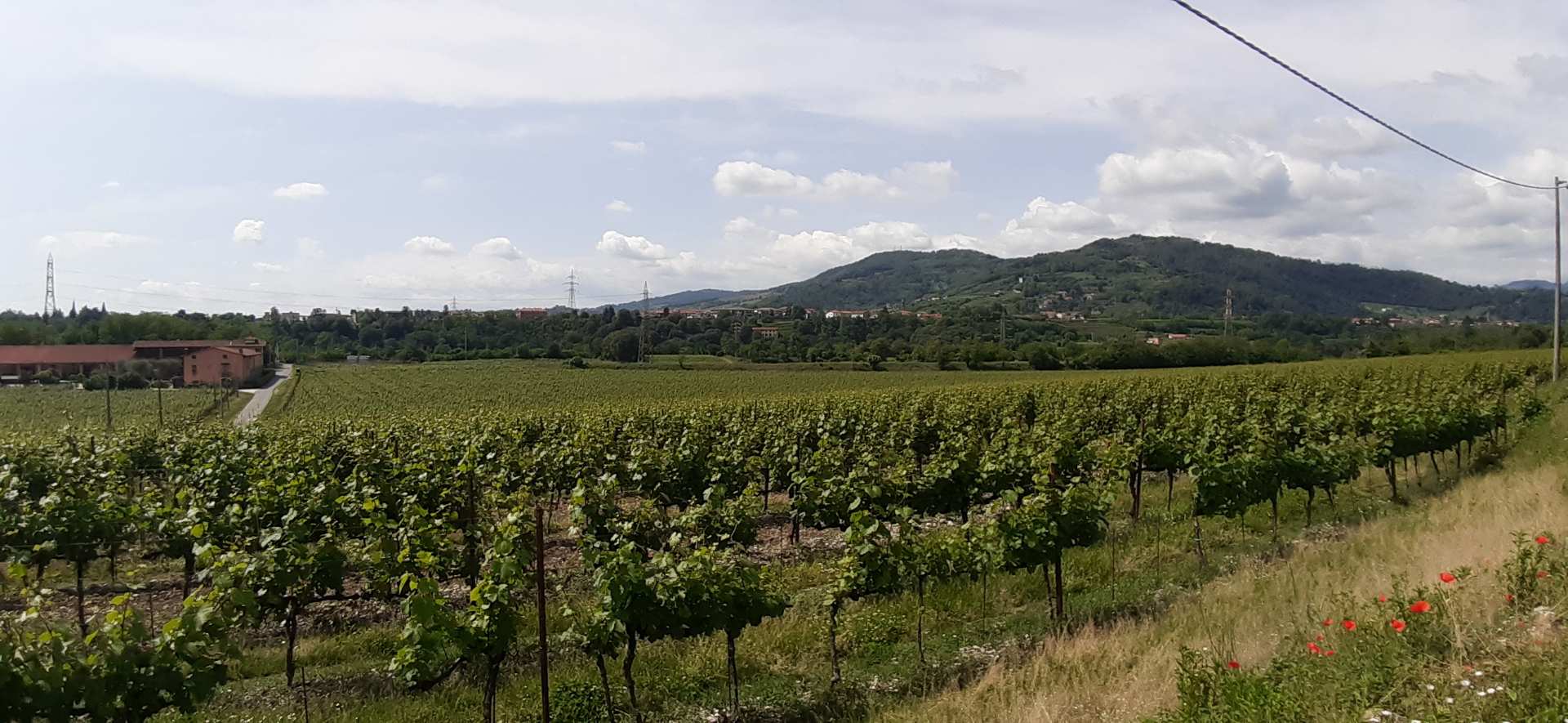 Franciacorta