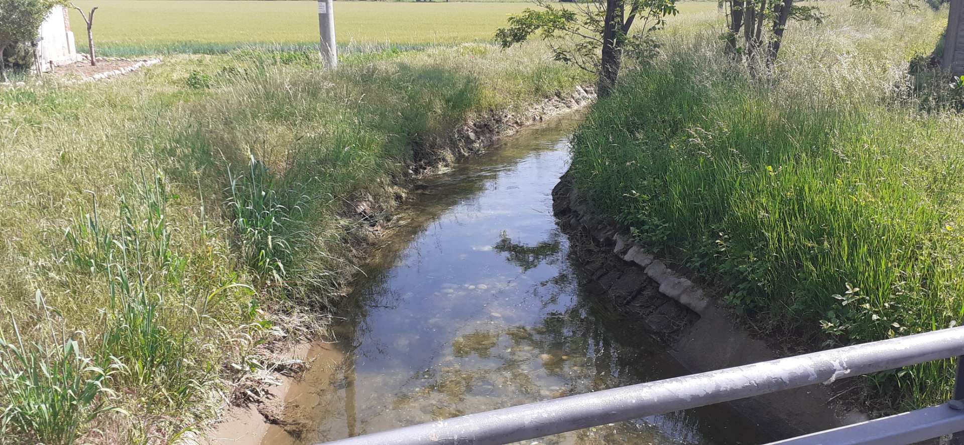 Canale Villoresi