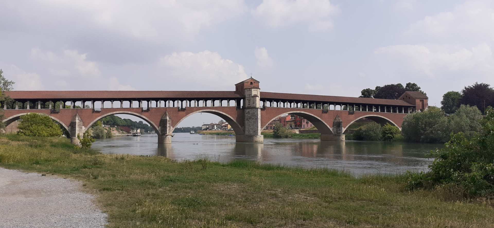 Pavia