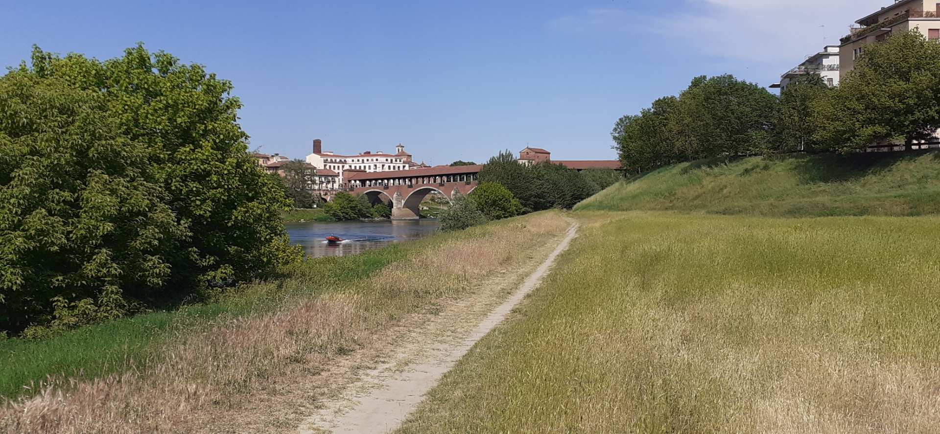 Pavia