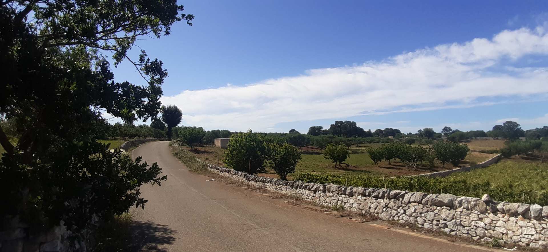 Alberobello