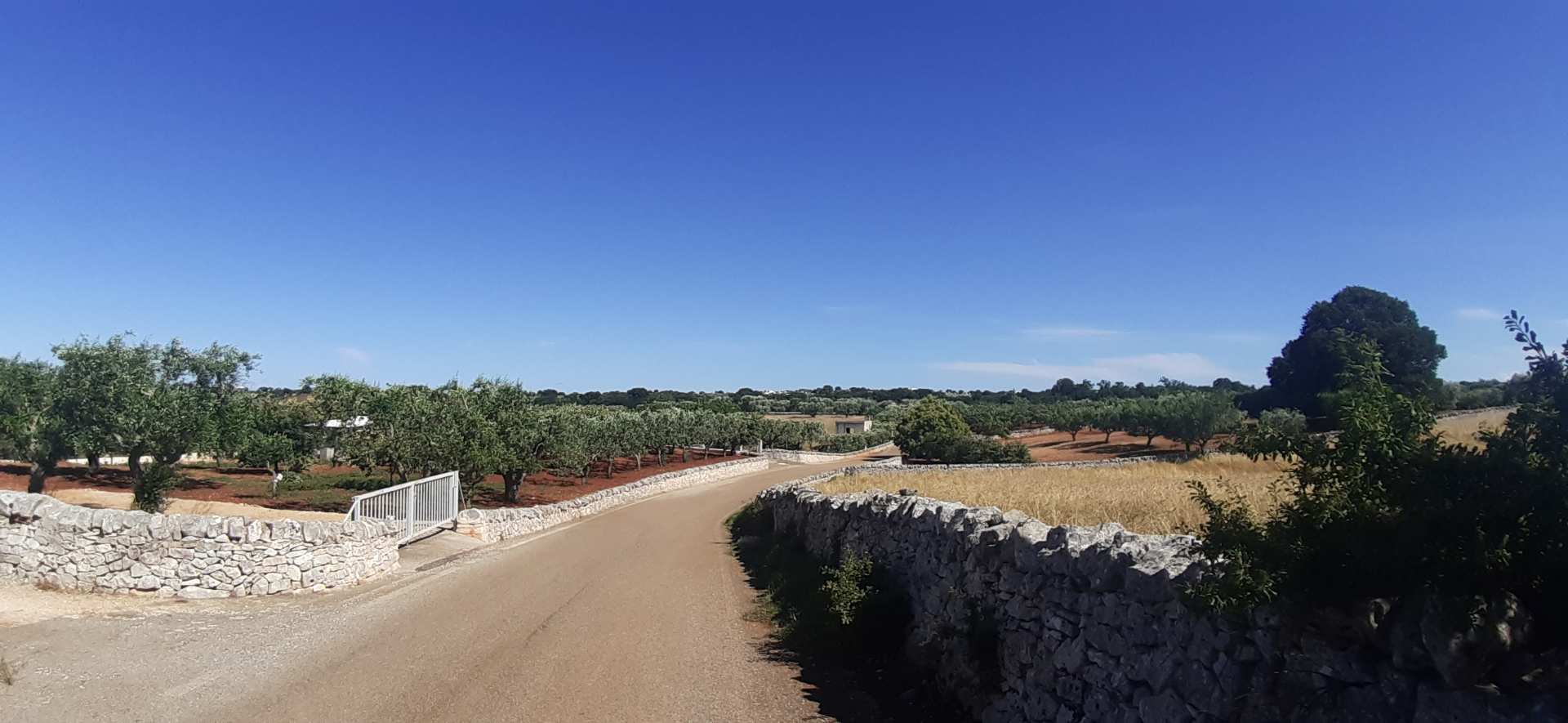 Alberobello