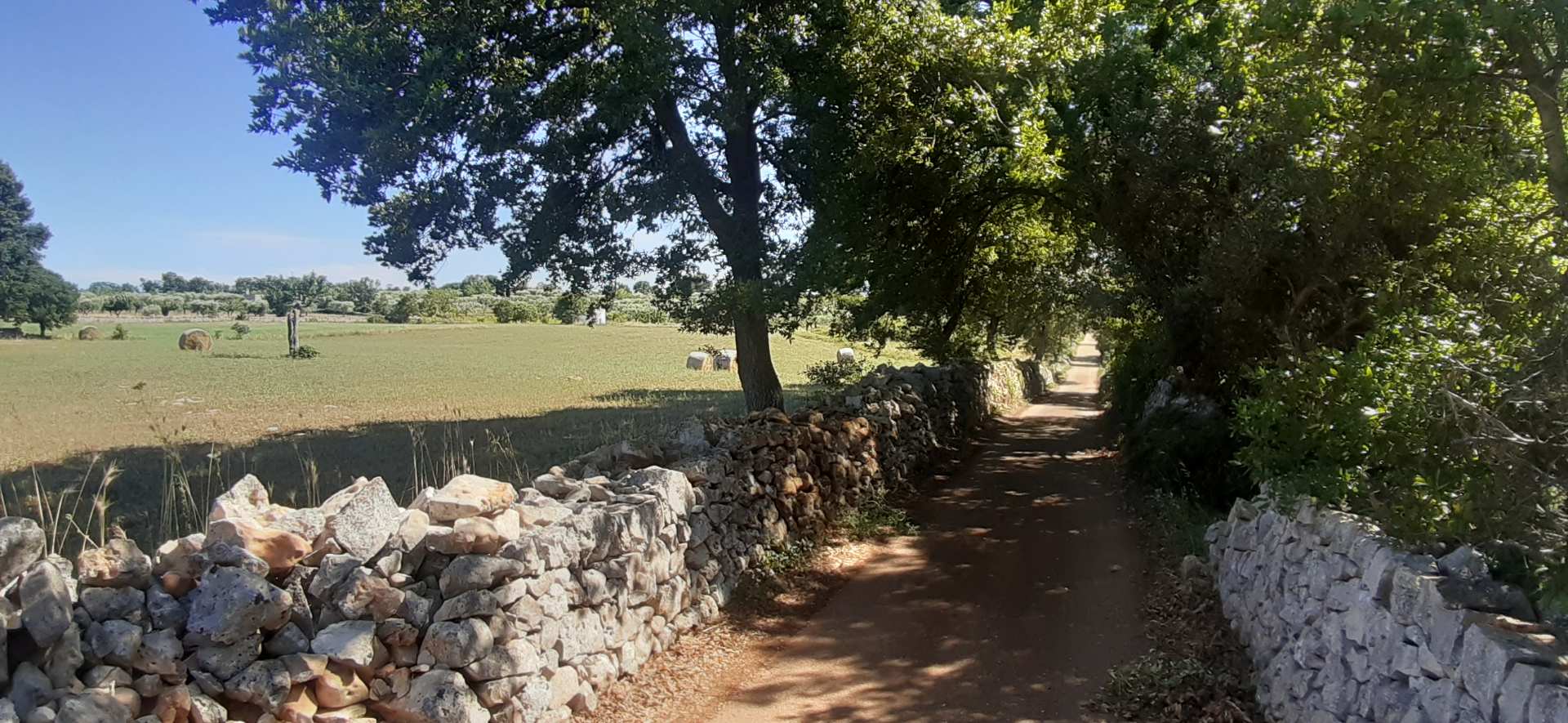 Alberobello
