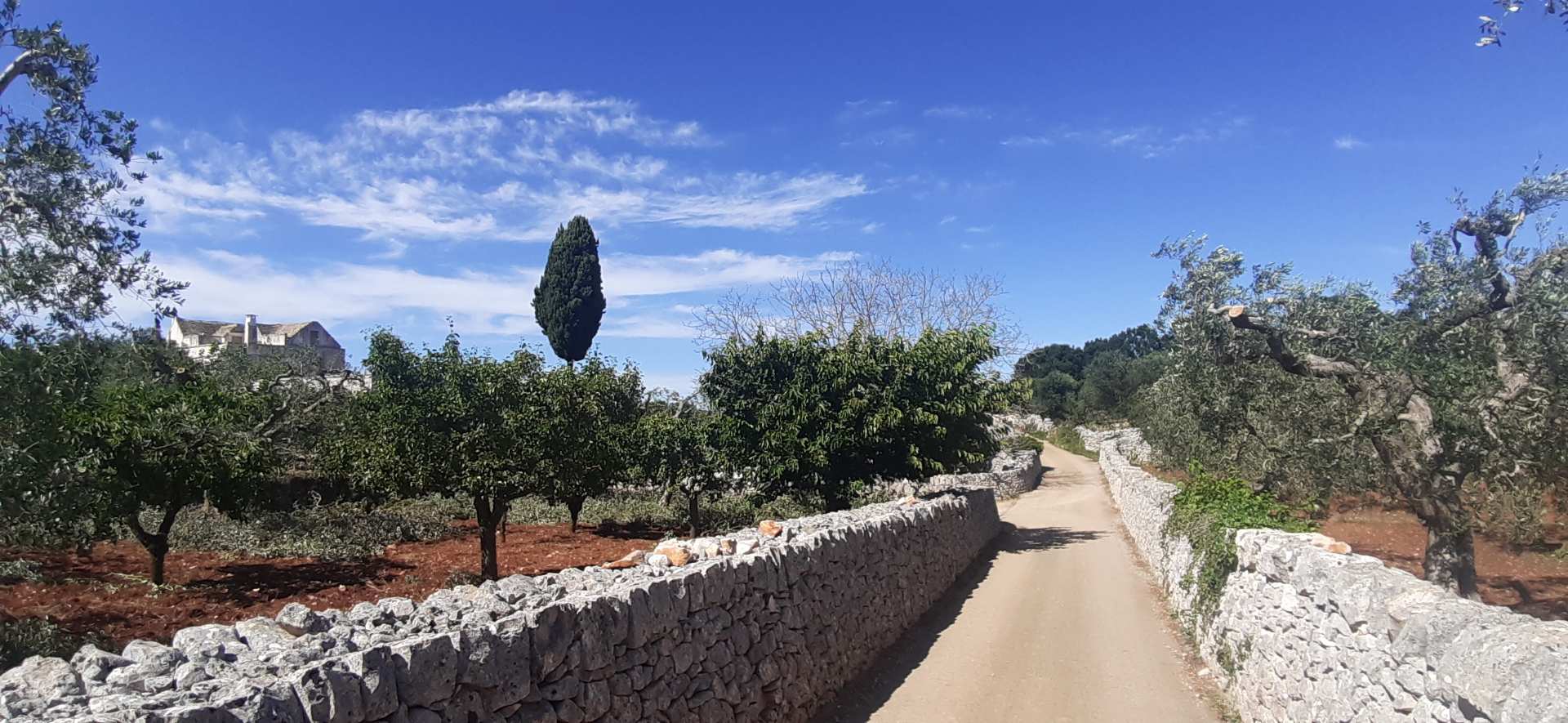 Alberobello