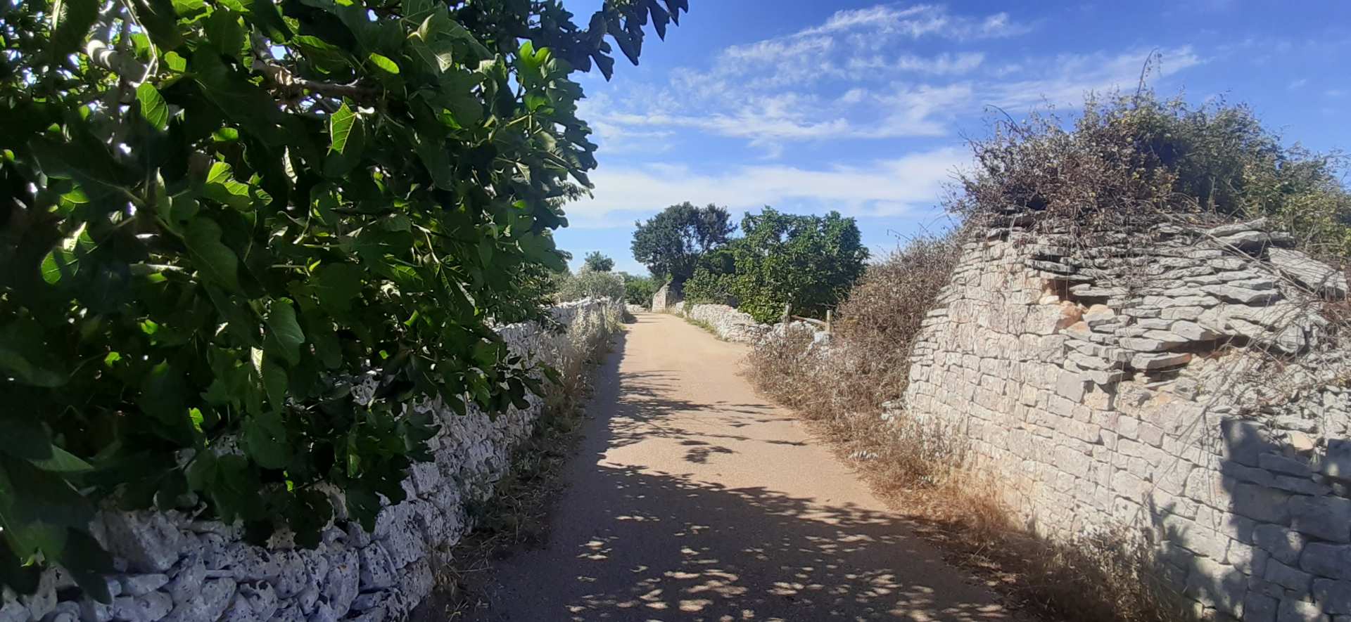 Alberobello