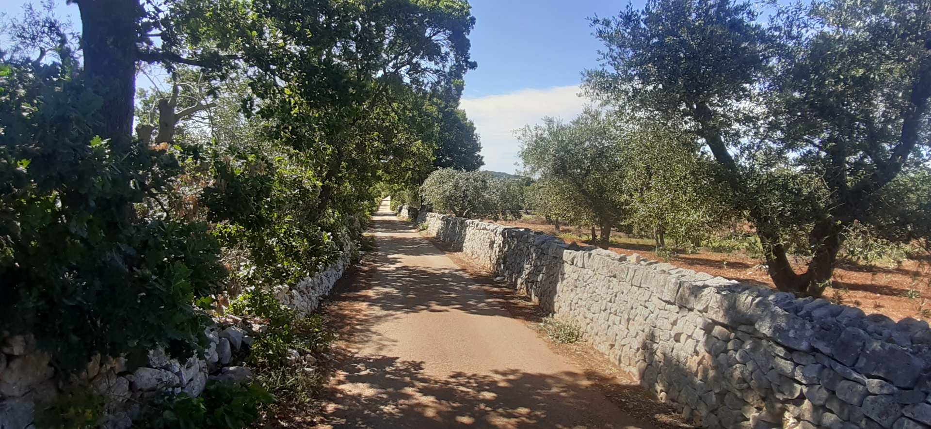 Alberobello