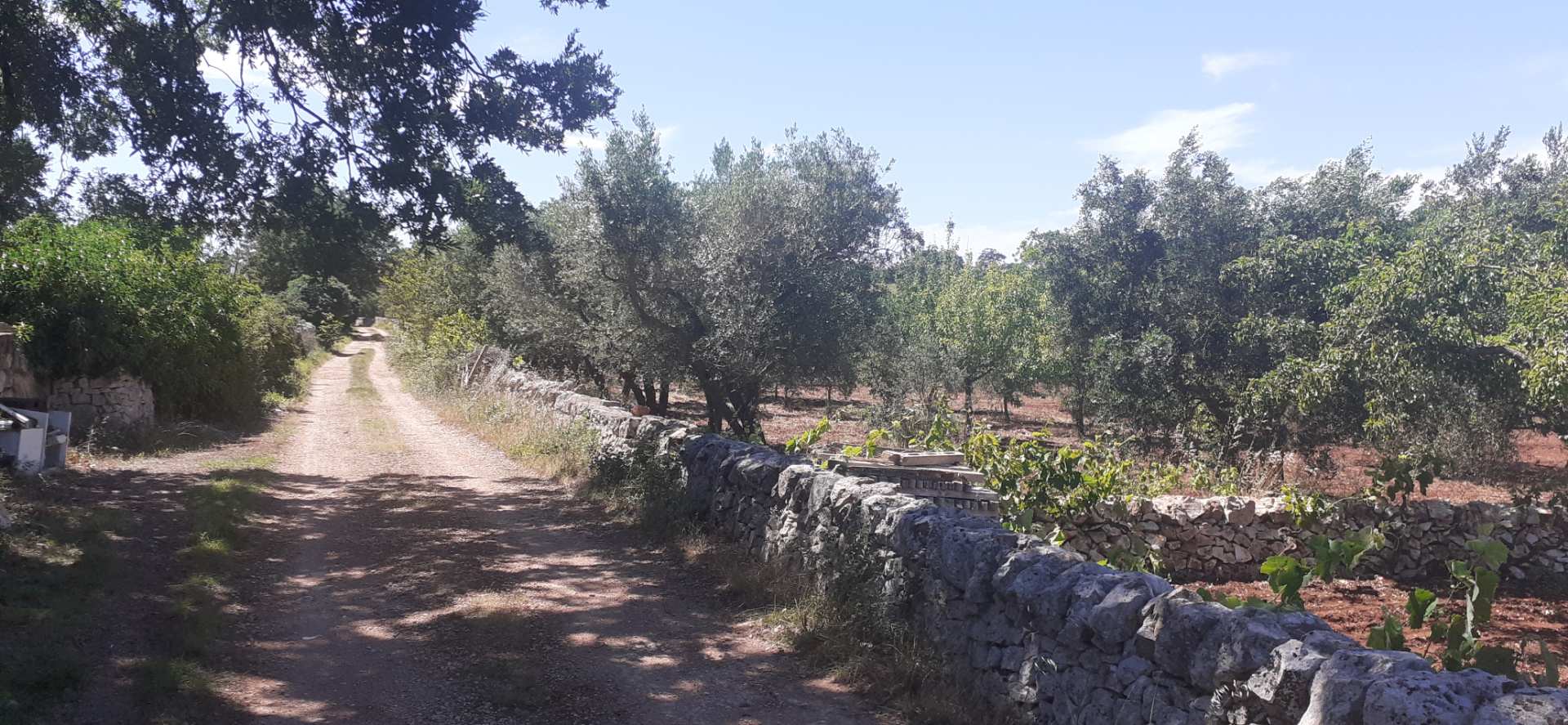 Cisternino