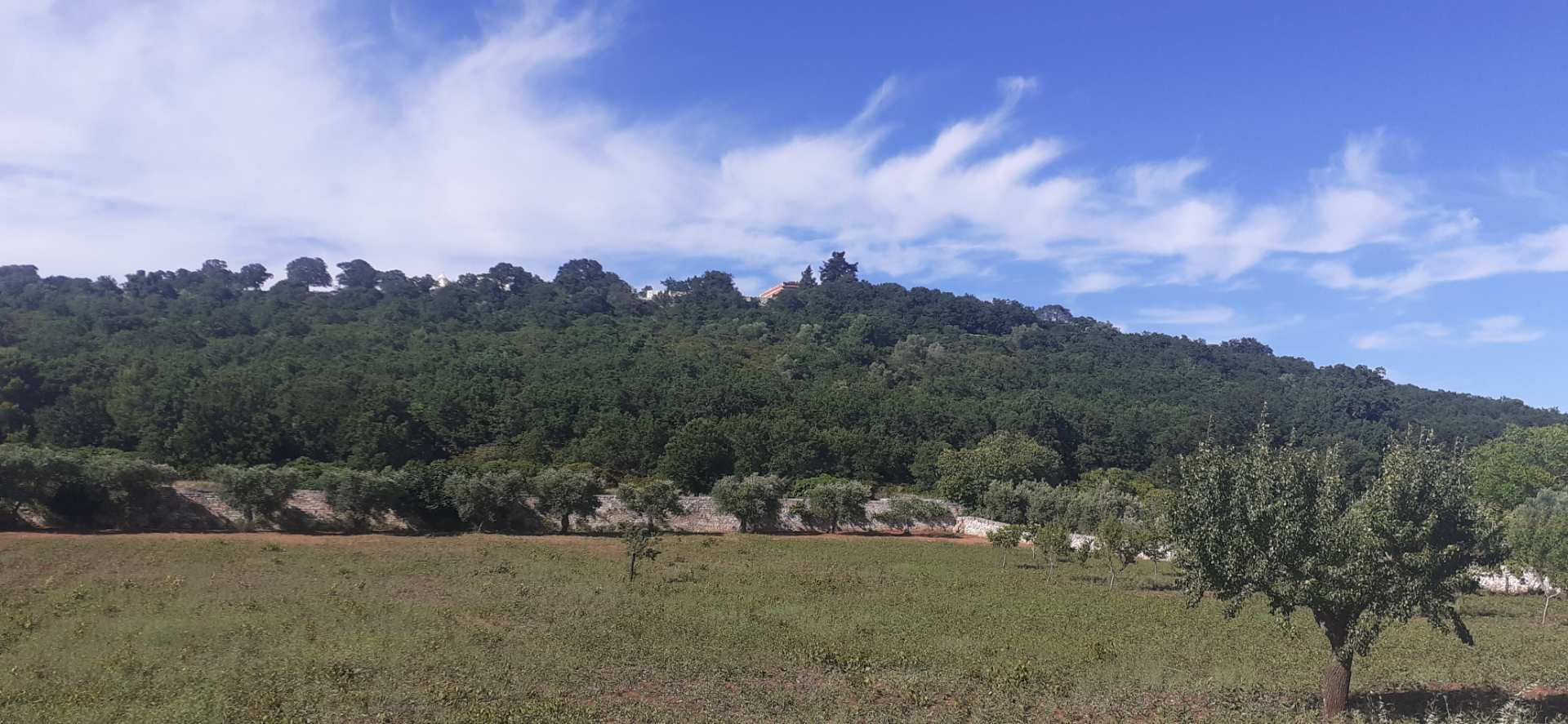 Cisternino