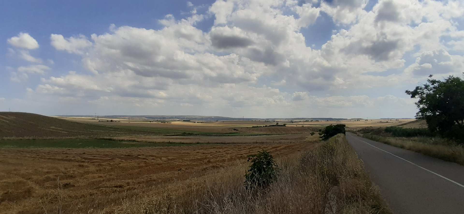 Murgia
