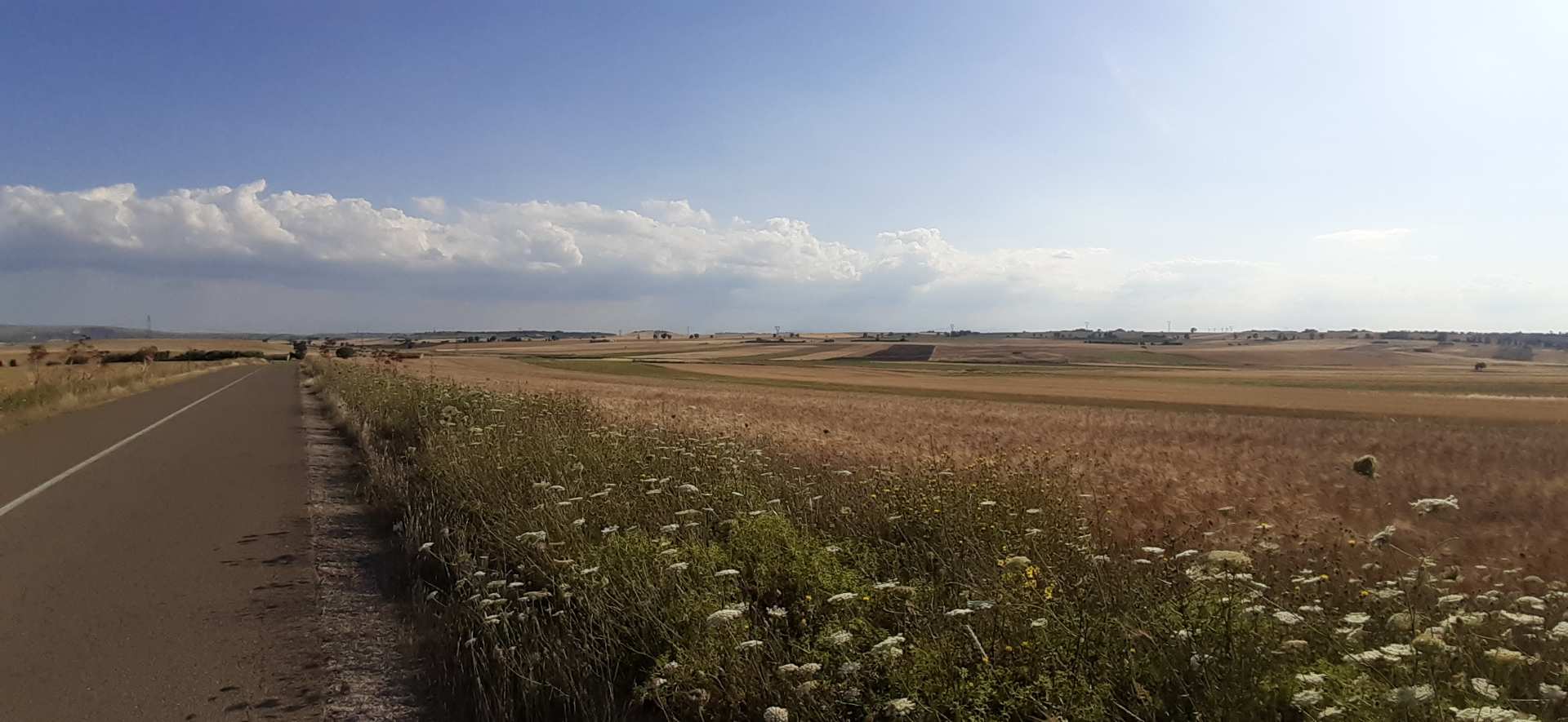Murgia