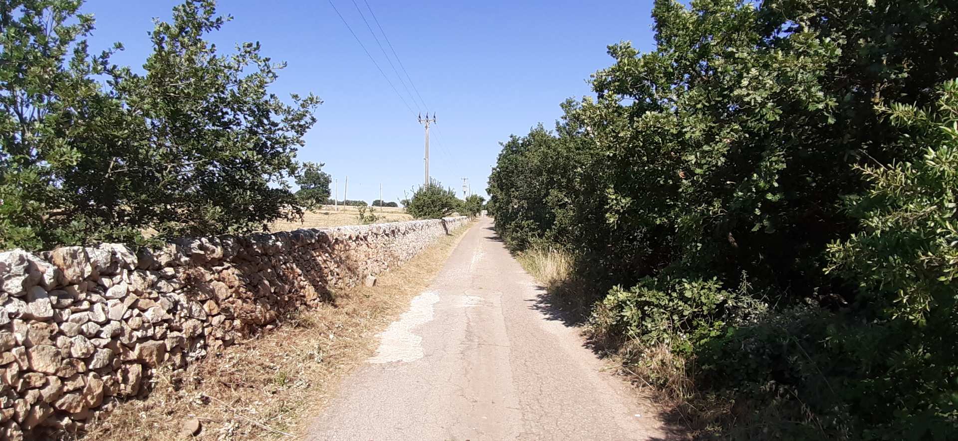 Gioia del Colle
