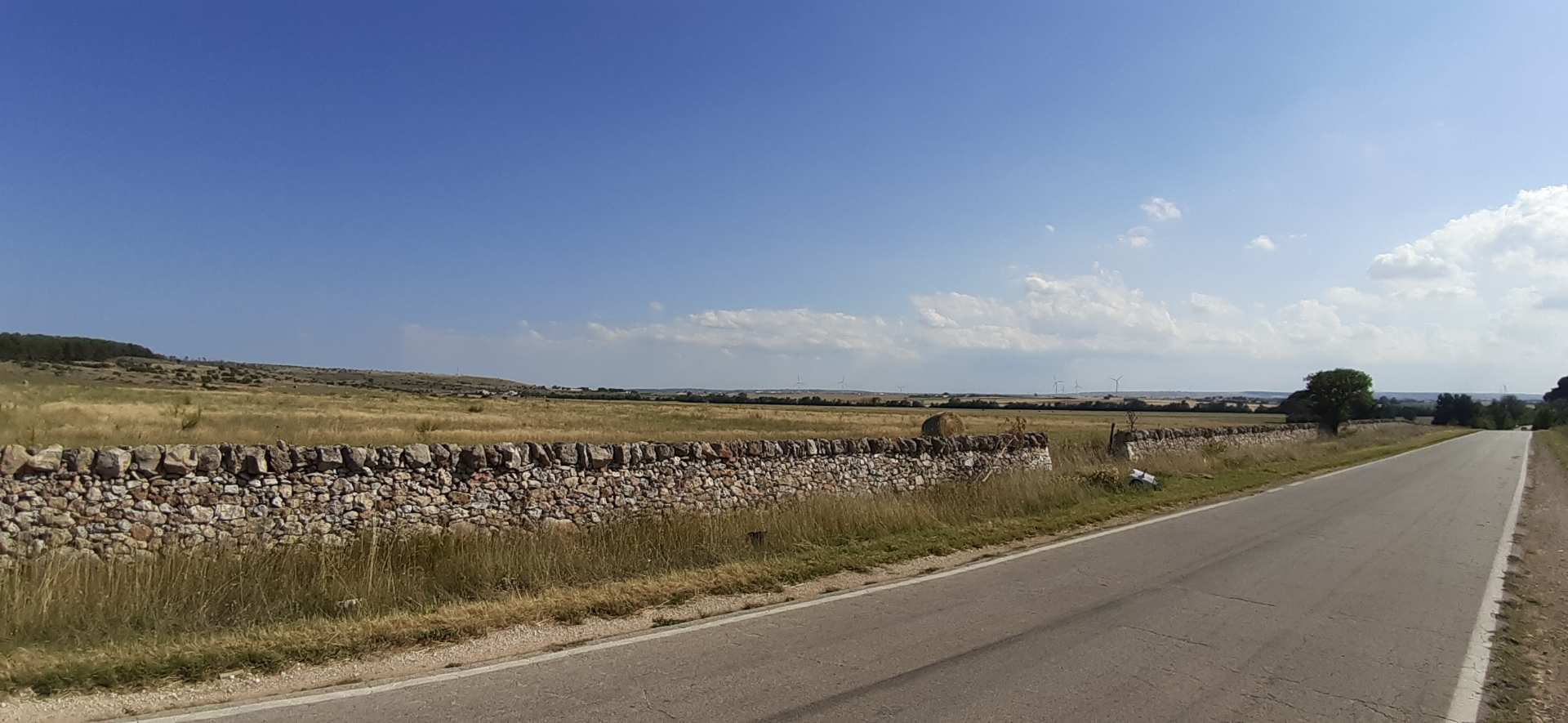 Gioia del Colle