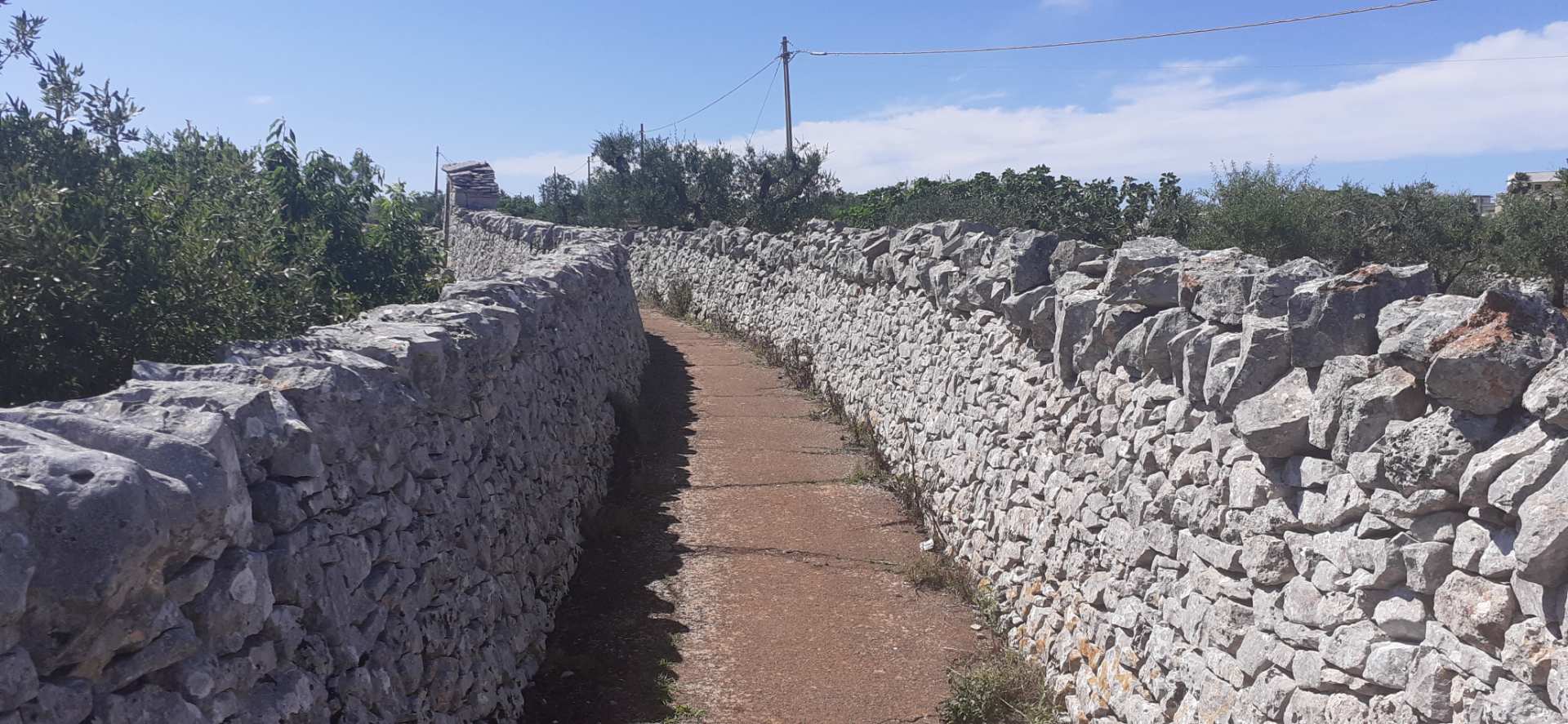 Locorotondo