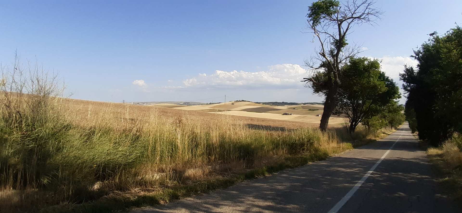 Murgia