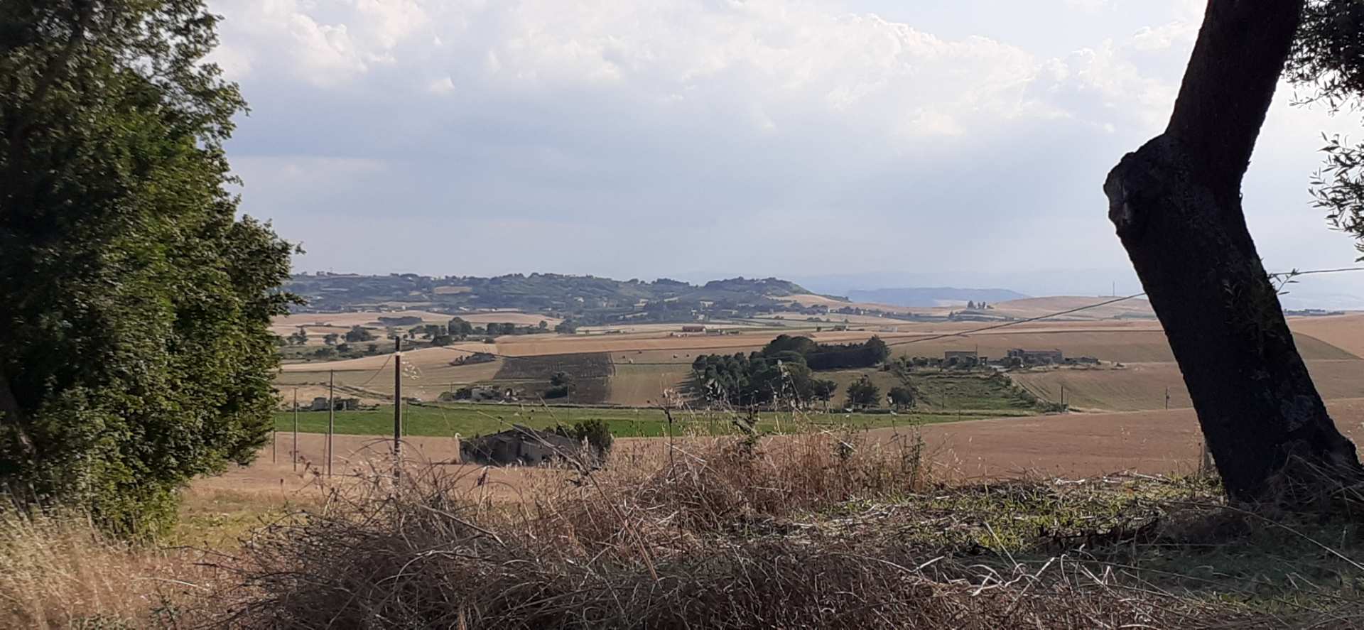 Murgia