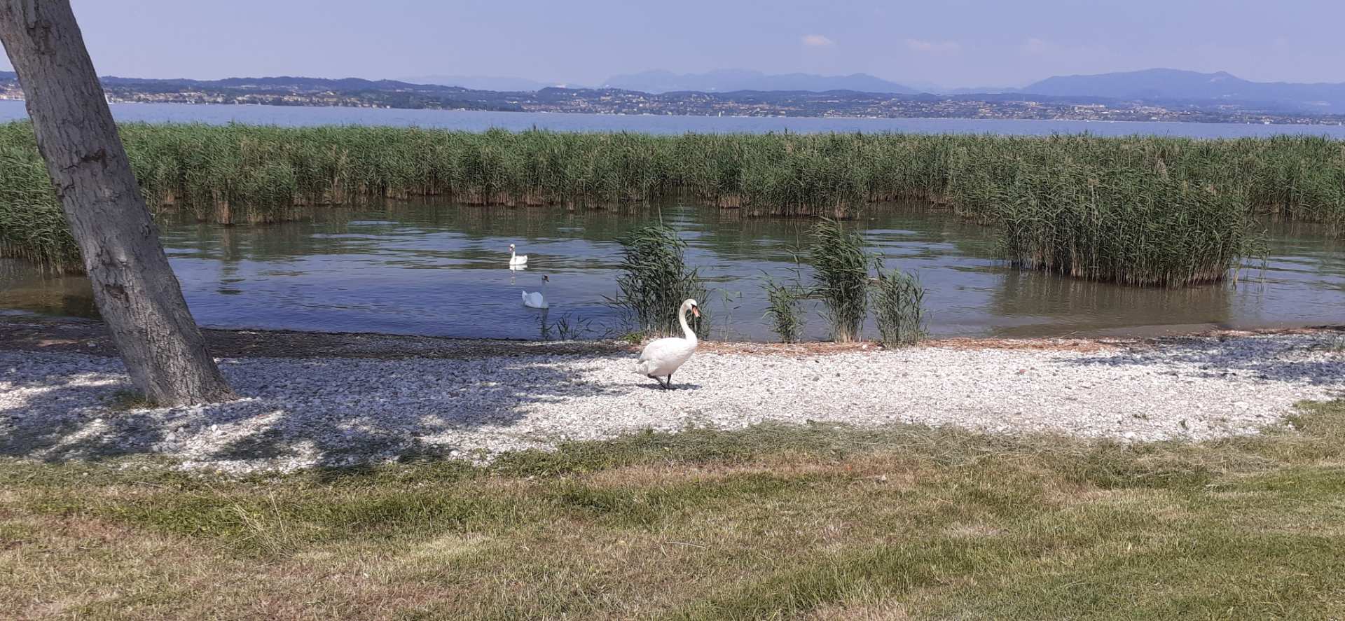 Sirmione