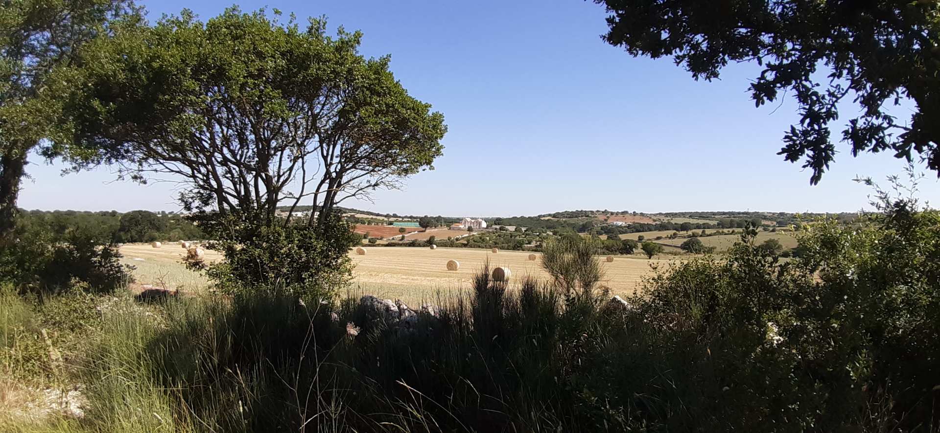Gioia del Colle