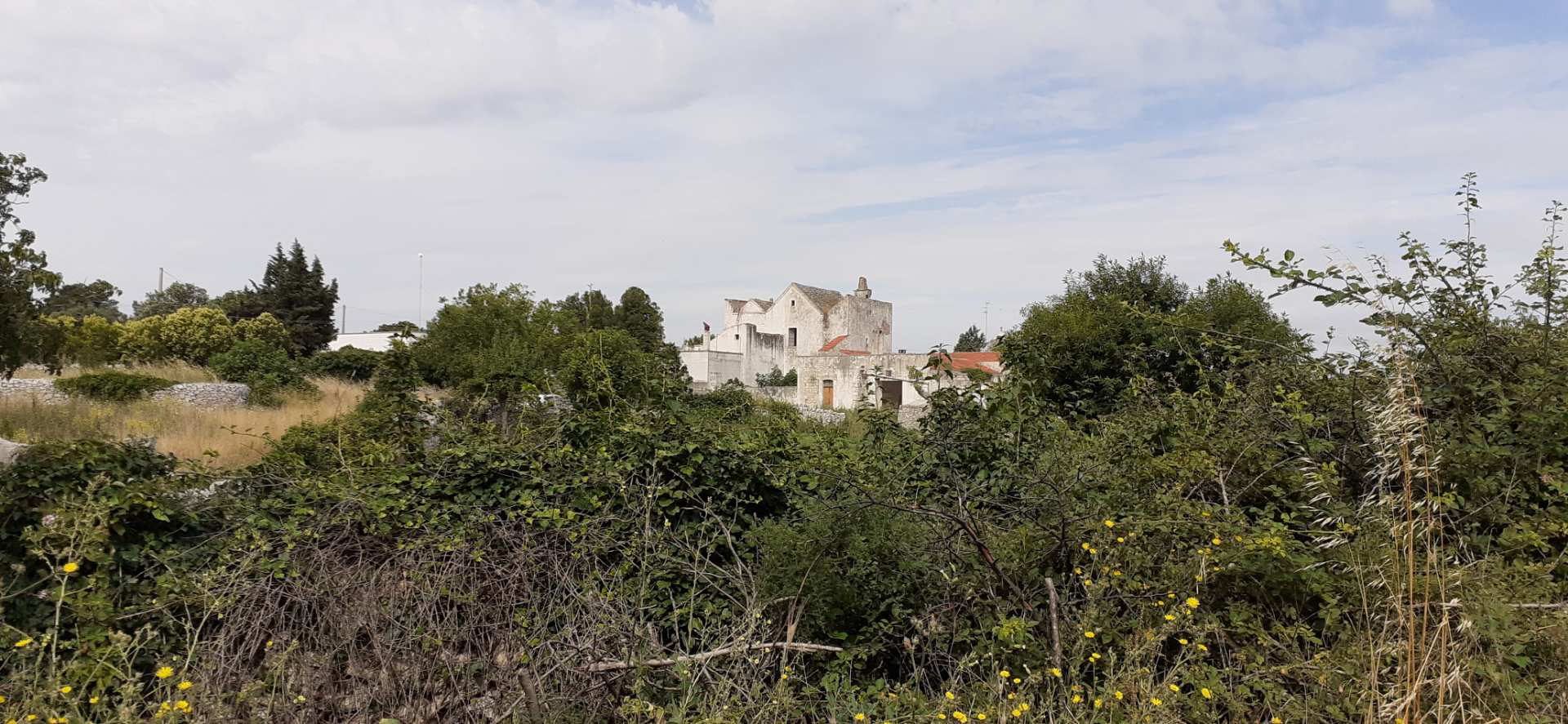 Noci