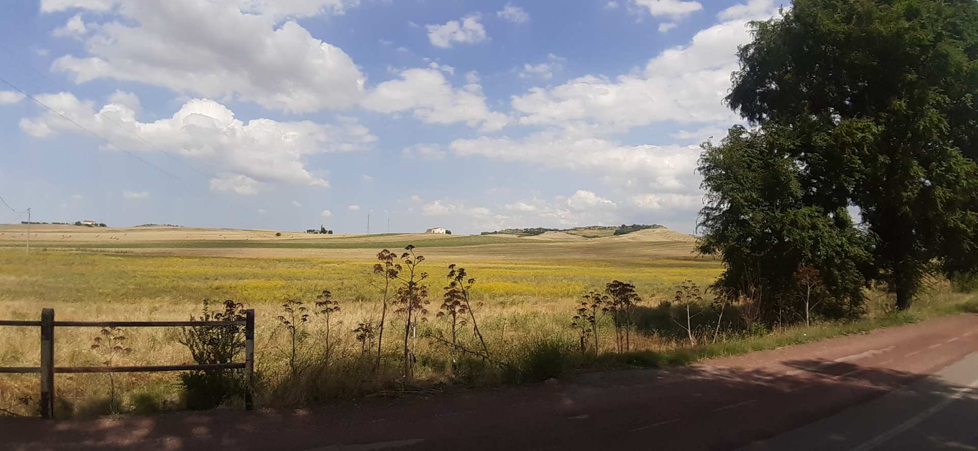 Murgia