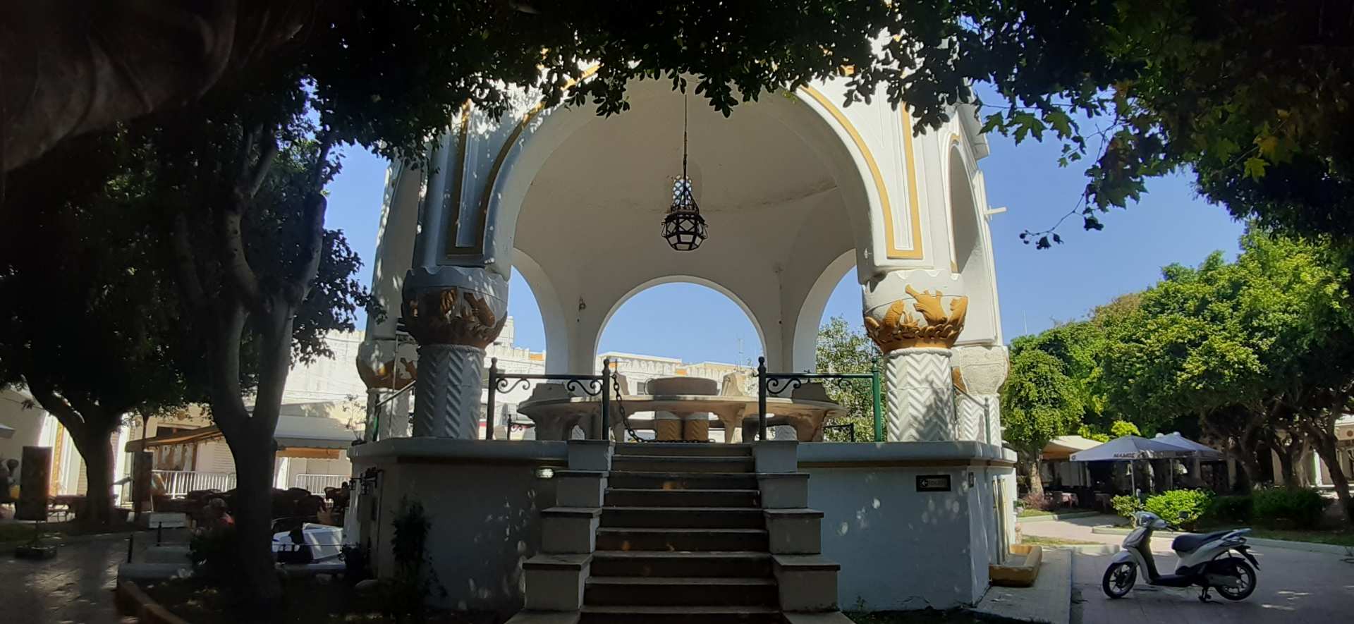 Rodi