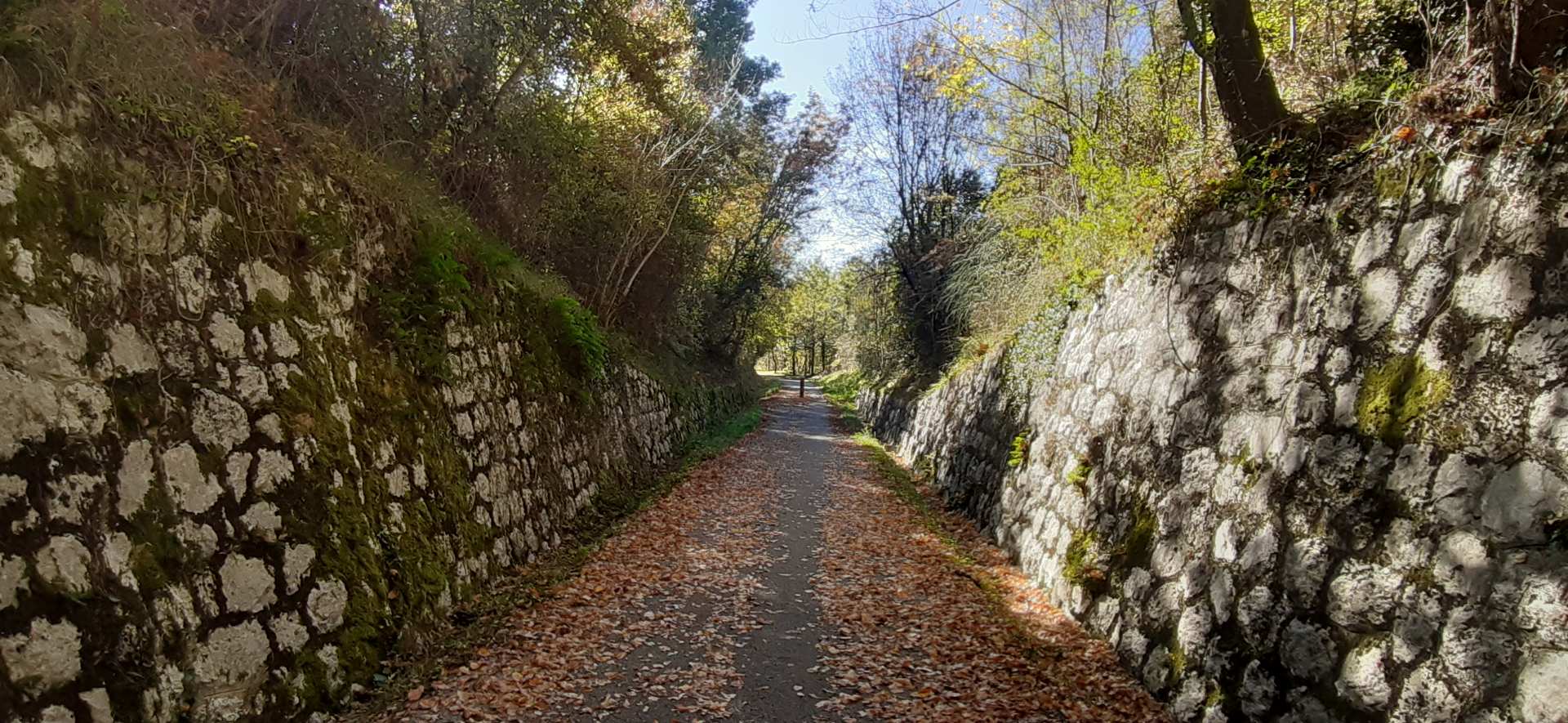 ciclabile ex ferrovia Lagonegro-Spezzano Albanese