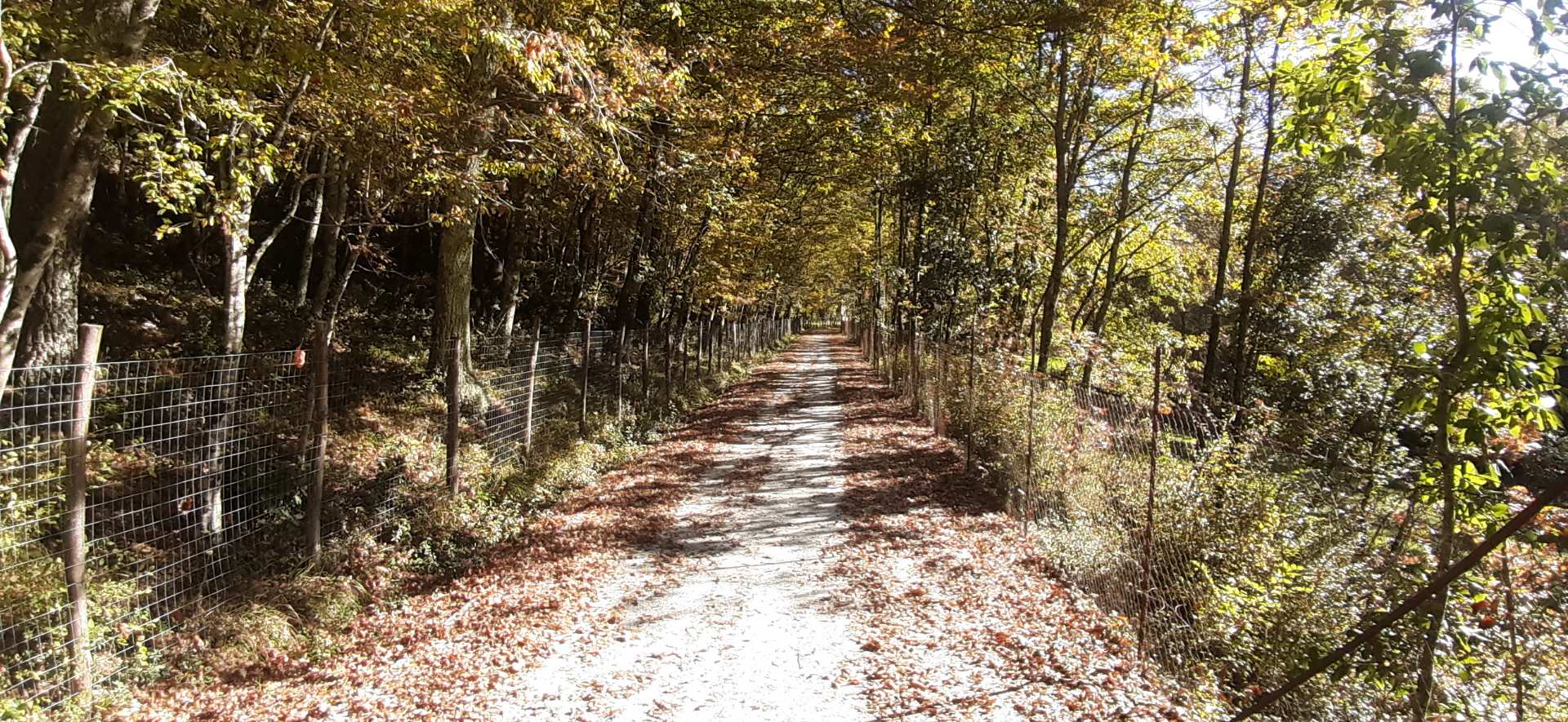 ciclabile ex ferrovia Lagonegro-Spezzano Albanese