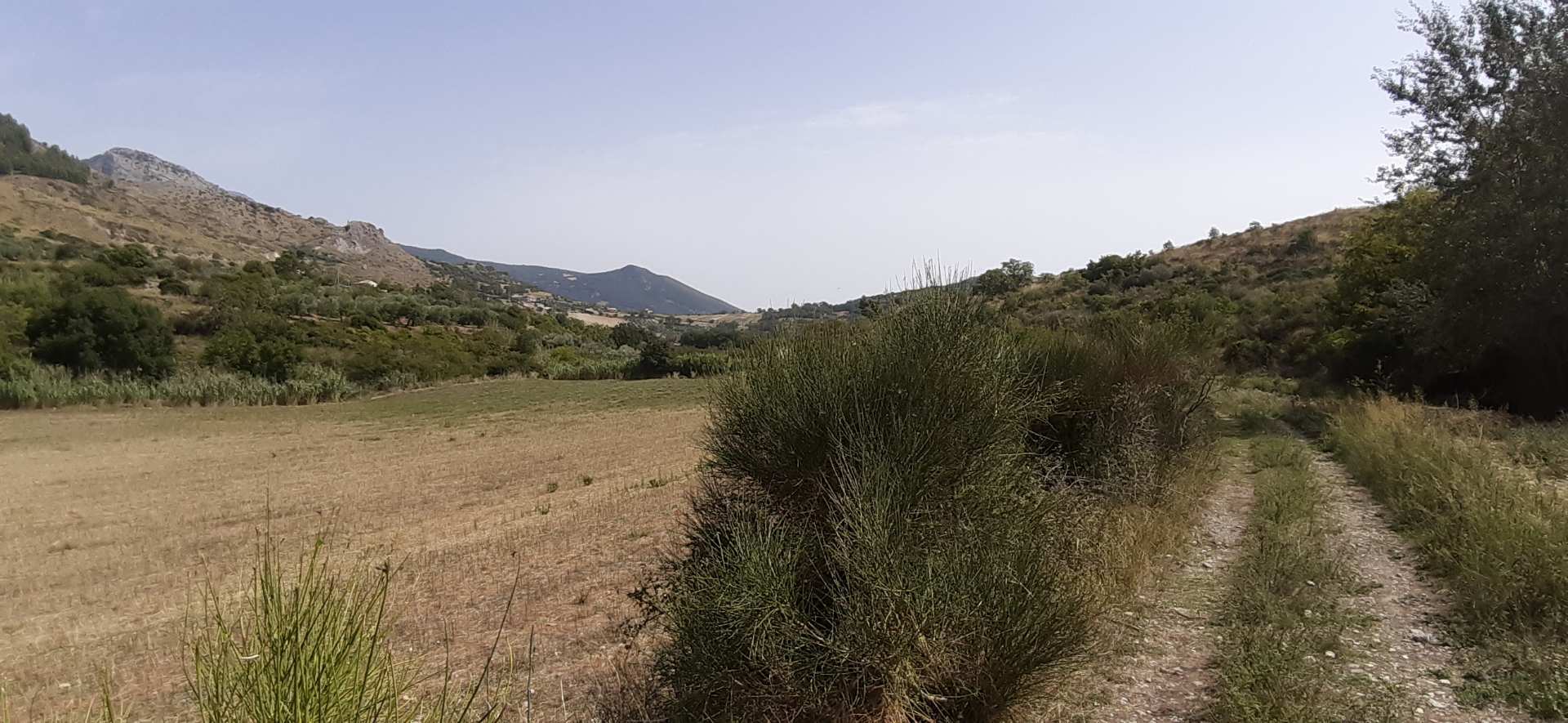 Civita