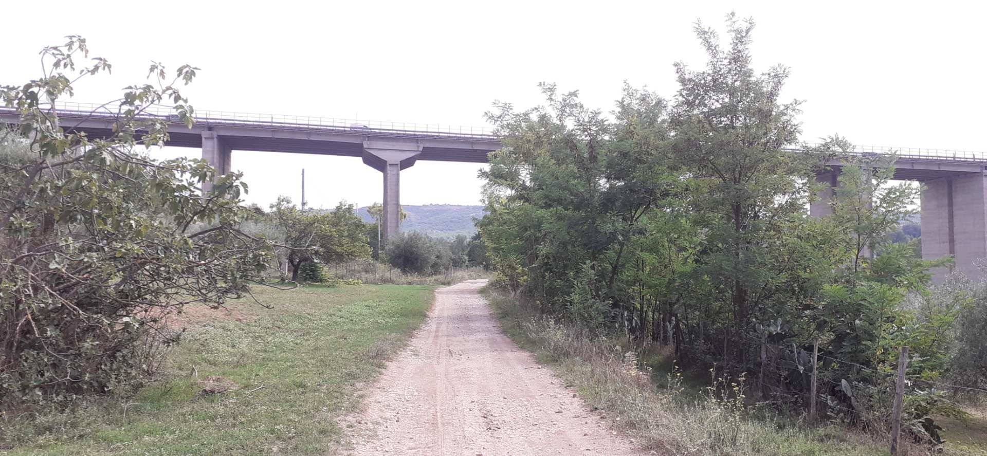 Frascineto