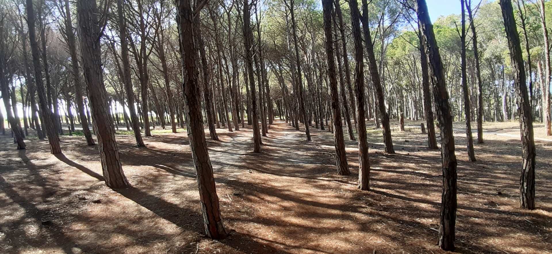 Catanzaro Lido