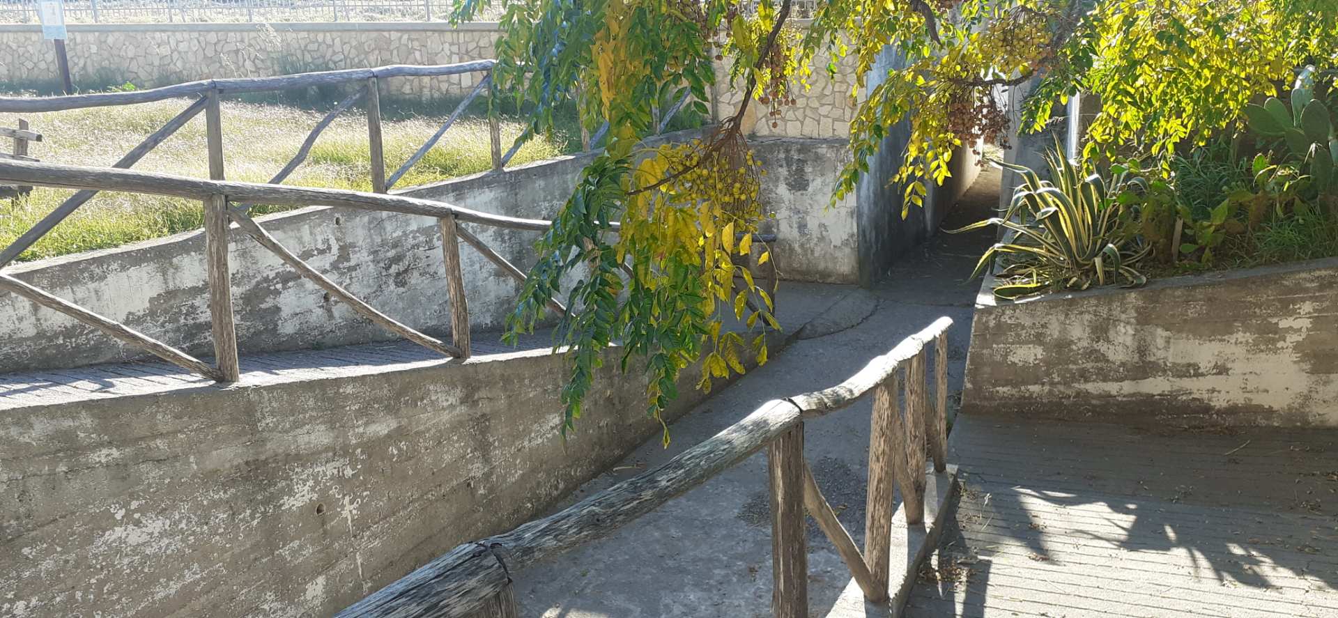 Guardia Piemontese